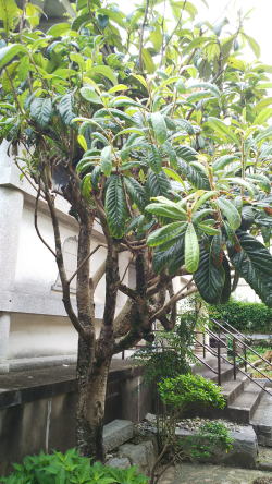 �����񍐎ʐ^